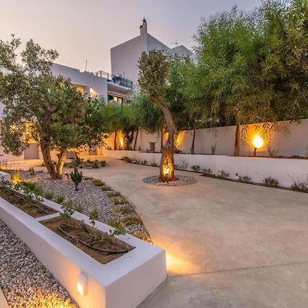 Acanthus Houses Τήνος Εξωτερικό φωτογραφία