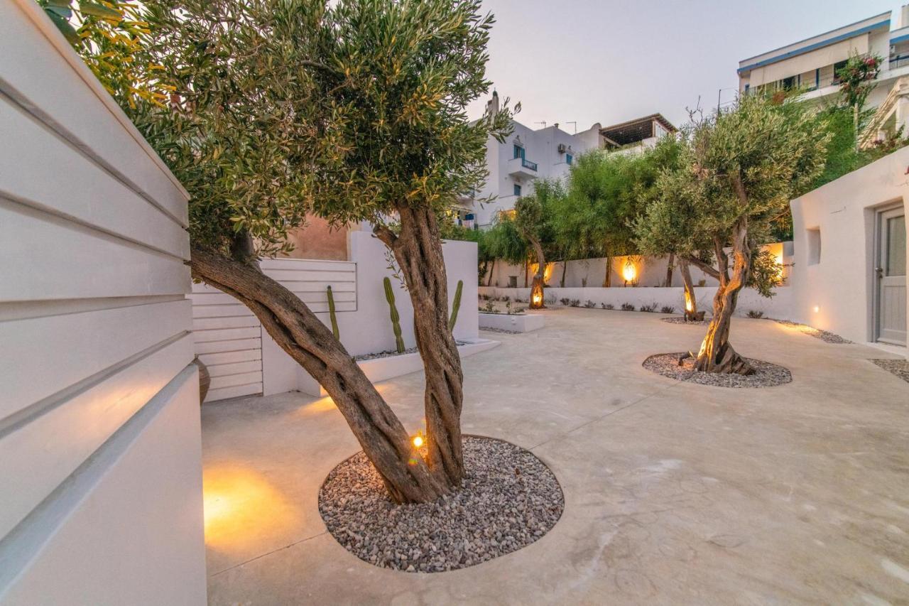 Acanthus Houses Τήνος Εξωτερικό φωτογραφία